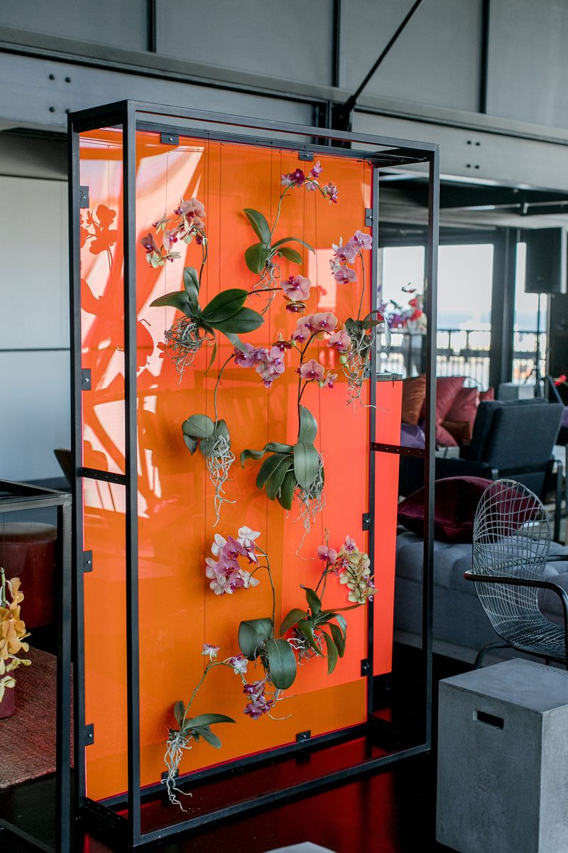 Living Coral – 2019’s Pantone Colour of the Year - aleit events