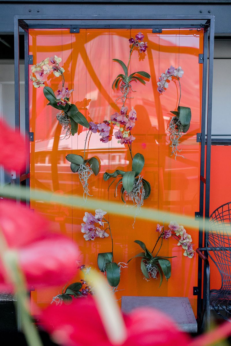 Living Coral – 2019’s Pantone Colour of the Year - aleit events